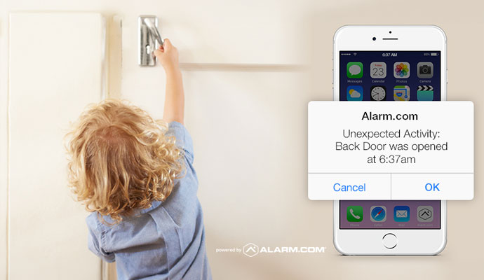 Connected with Smart Security Platforms