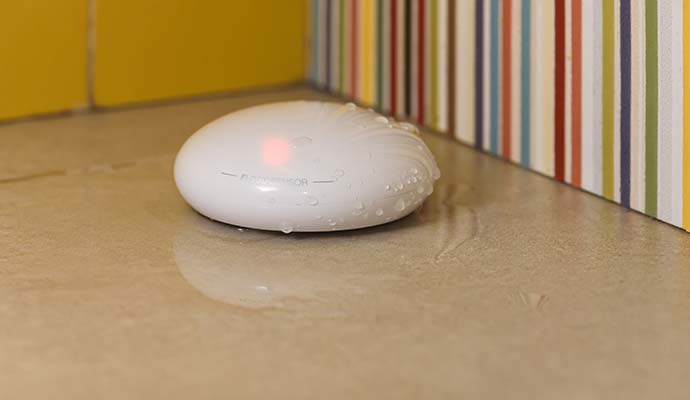 Flood detection system