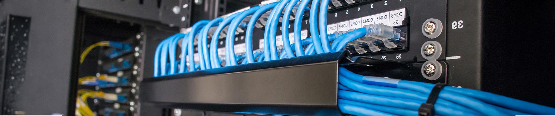 Network server rack
