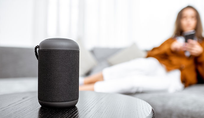 Wireless voice speaker in living room